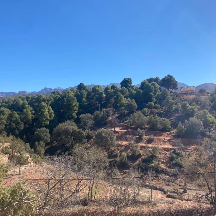 Marrakesh: Ourika Valley Tour & Secret Berber Lunch + Guide - What to bring and who should book