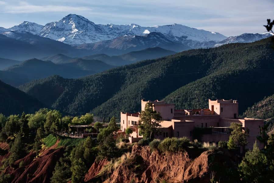 Marrakesh: Ourika Valley Tour & Secret Berber Lunch + Guide - Mint tea inside a Berber home