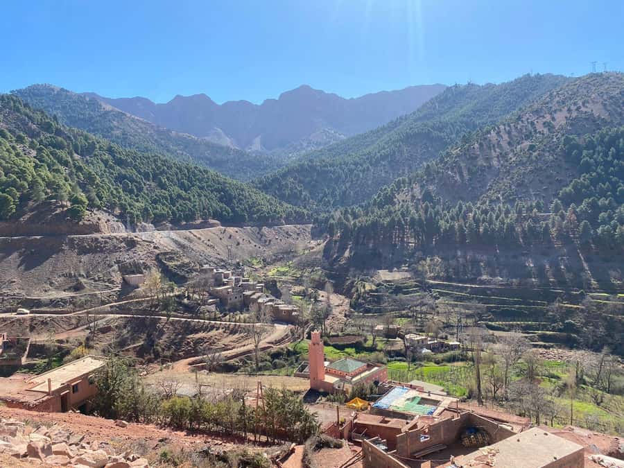 Marrakesh: Ourika Valley Tour & Secret Berber Lunch + Guide - Argan oil and the women-run cooperative
