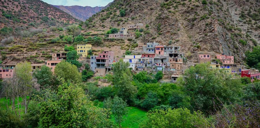 Marrakesh: Ourika Waterfalls, Atlas Mountains, Guide + Lunch - The guides make a real difference