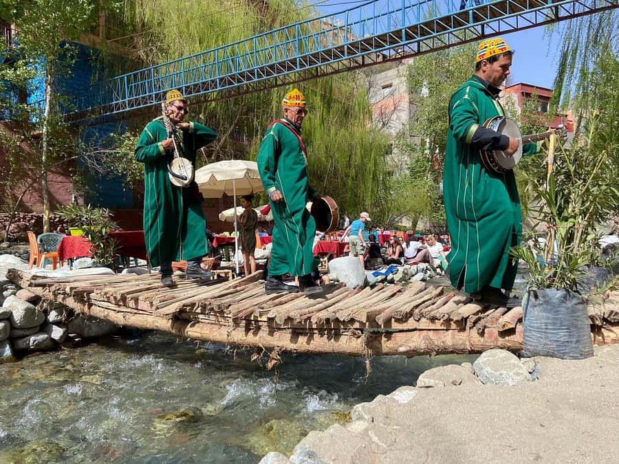 Marrakesh: Ourika Waterfalls, Atlas Mountains, Lunch + Guide - Who will enjoy this day trip most