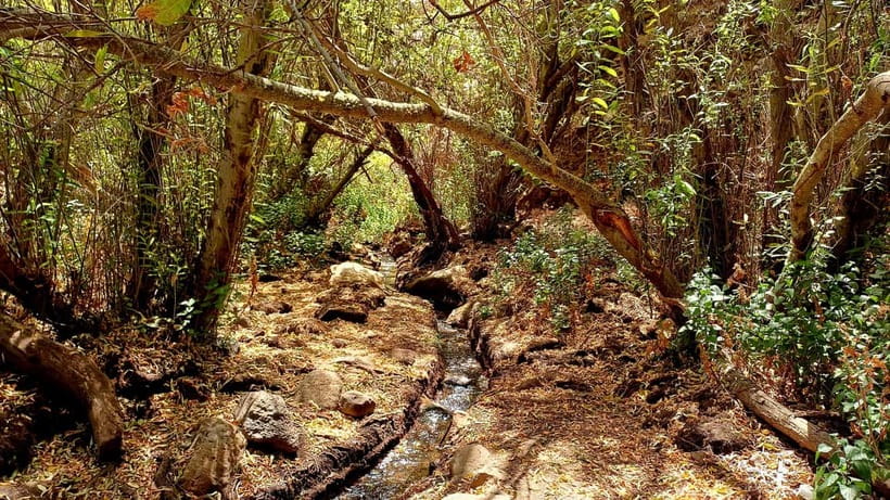 Maspalomas: Hiking in the Waterfalls with Sky Rebels - Leaving Maspalomas for the Barranco