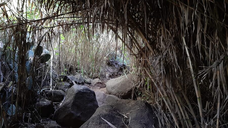 Maspalomas: Hiking in the Waterfalls with Sky Rebels - Should You Book Sky Rebels?
