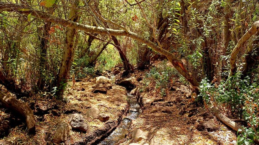 Maspalomas: Hiking in the Waterfalls with Sky Rebels - What the $100 Price Really Covers