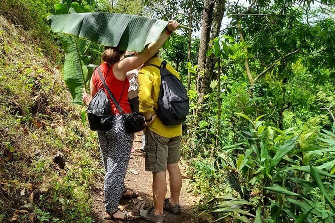 Materuni Waterfall and Kikuletwa Hot Spring Tour - Why this day works so well near Moshi