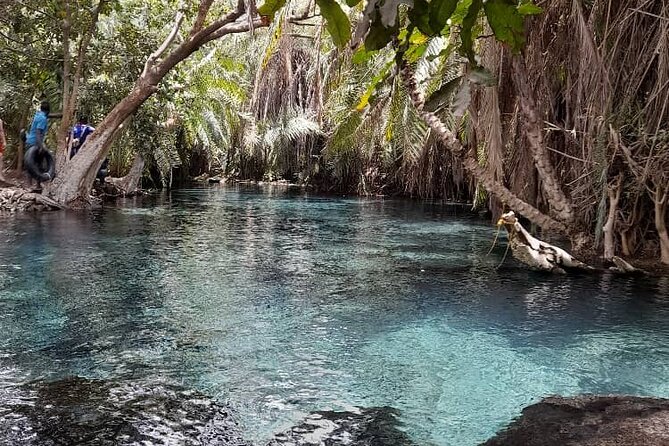 Materuni Waterfall and Kikuletwa Hot Spring Tour - Hot lunch and banana beer