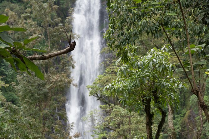 Materuni Waterfall and Kikuletwa Hot Spring Tour - Transport, timing, and practical comfort