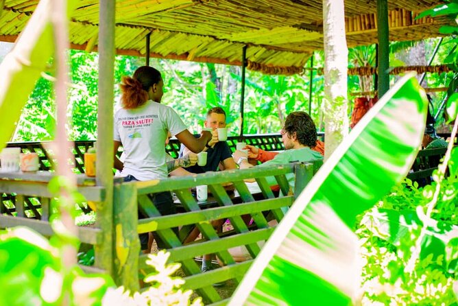 Materuni Waterfall and Kikuletwa Hot Spring Tour - The easy walk to Materuni Waterfall