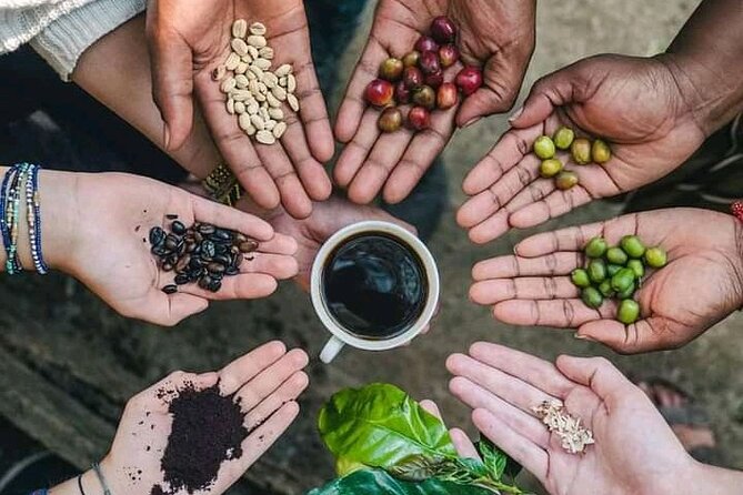Materuni Waterfall Coffee Tour and Chemka Hot Springs Experience - Key points to know