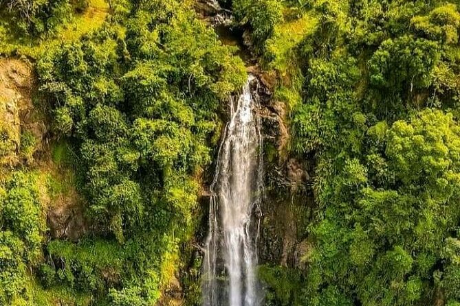 Materuni Waterfall Coffee Tour and Chemka Hot Springs Experience - Why Materuni works so well as a day trip