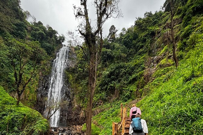 Materuni Waterfall Coffee Tour and Chemka Hot Springs Experience - Chagga food, dancing, and village welcome