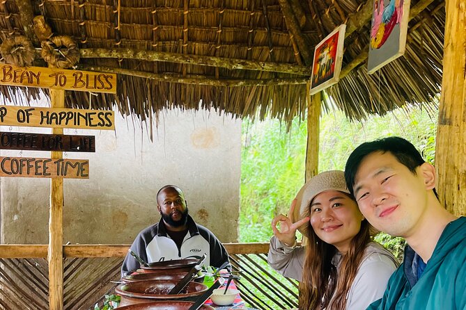 Materuni Waterfall Coffee Tour and Chemka Hot Springs Experience - What the private format means