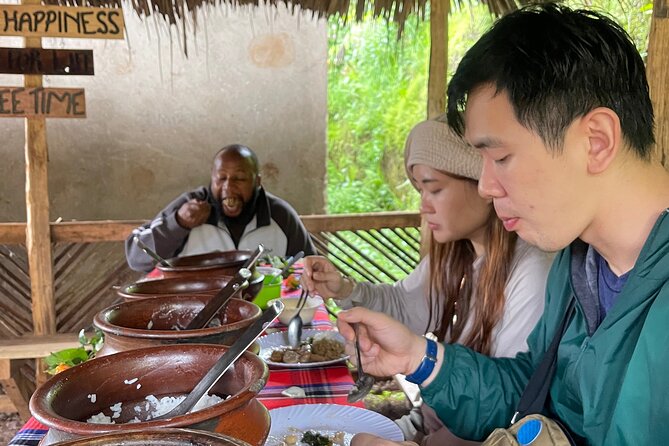 Materuni Waterfall Coffee Tour and Chemka Hot Springs Experience - Is $80 per person good value?