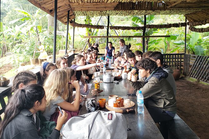 Materuni Waterfall, Coffee Tour and Picnic Hot Lunch - Materuni Falls and the chance to swim