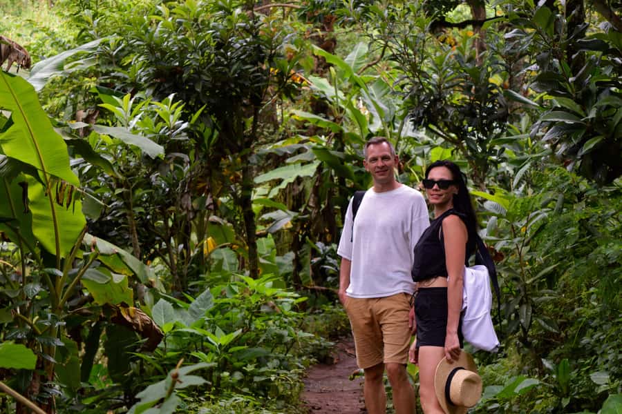 Materuni Waterfalls, Chemka Hot Springs, &/Or Coffee Tour - Key points to know before you book