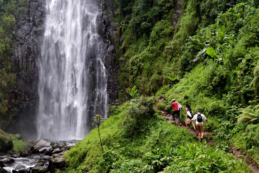 Materuni Waterfalls, Chemka Hot Springs, &/Or Coffee Tour - Three Kilimanjaro-area experiences in one day