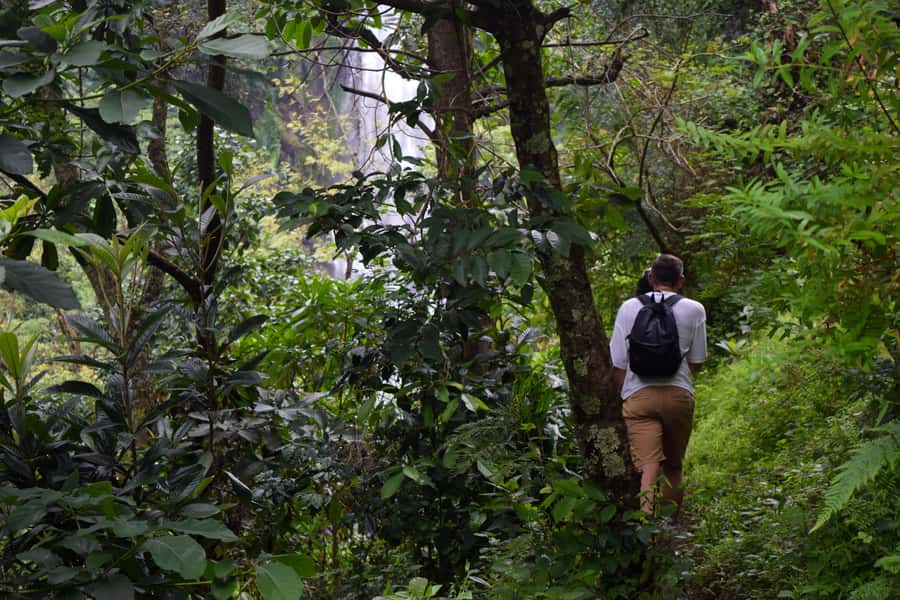 Materuni Waterfalls, Chemka Hot Springs, &/Or Coffee Tour - A local lunch that earns its place