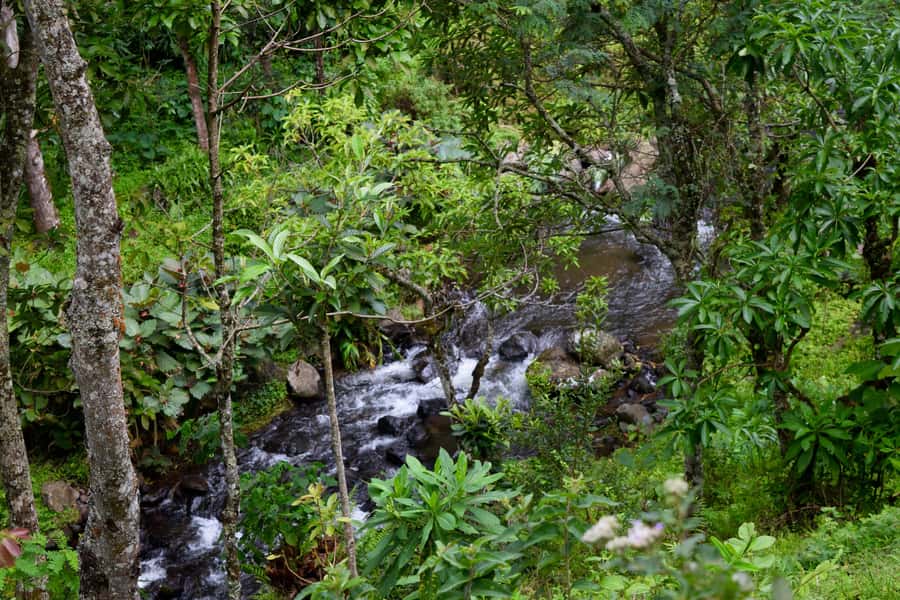 Materuni Waterfalls, Chemka Hot Springs, &/Or Coffee Tour - Swimming at Chemka, with one important correction