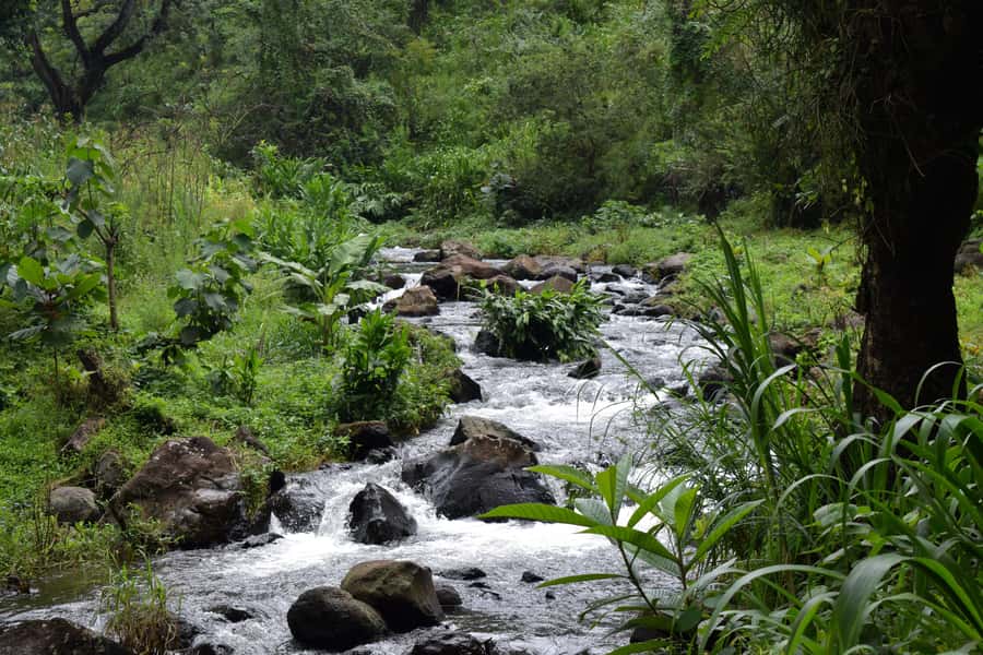 Materuni Waterfalls, Chemka Hot Springs, &/Or Coffee Tour - Guides, driving, and the human side of the day
