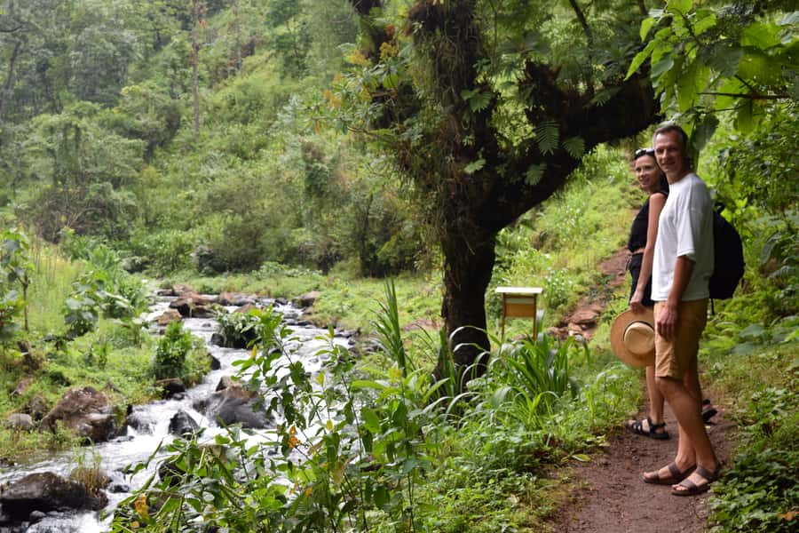 Materuni Waterfalls, Chemka Hot Springs, &/Or Coffee Tour - What to pack for wet trails and swimming