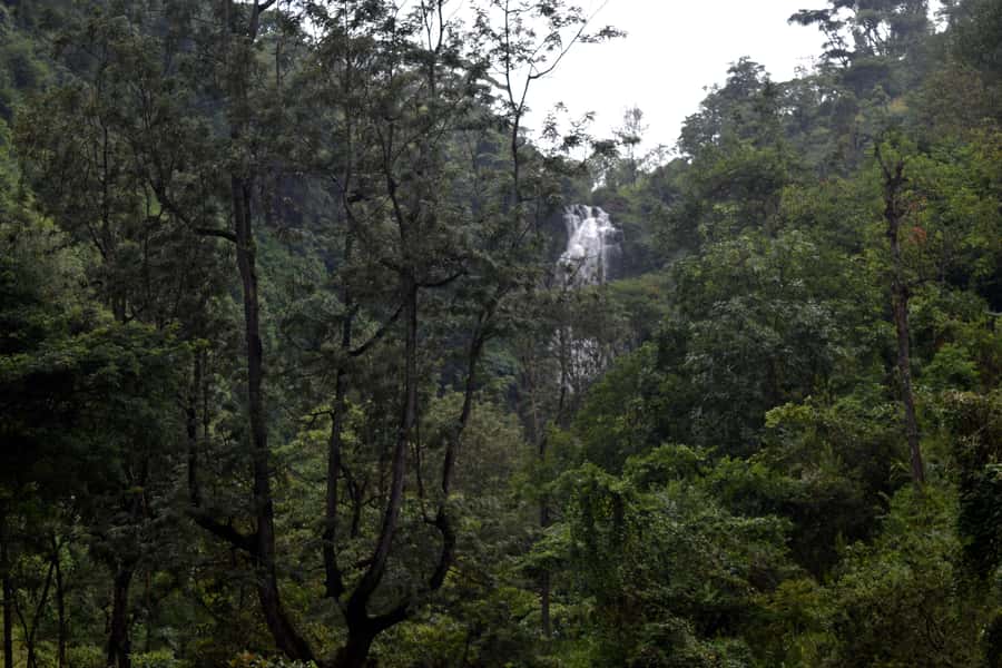 Materuni Waterfalls, Chemka Hot Springs, &/Or Coffee Tour - Should you book Materuni, Chemka, and the coffee tour?