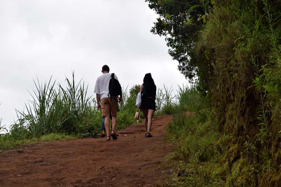 Materuni Waterfalls, Chemka Hot Springs, &/Or Coffee Tour - Walking through Materuni Village to the waterfall