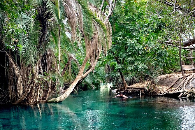 MATERUNI waterfalls, coffe tour & kikuletwa hotsprings - The coffee lesson after the waterfall