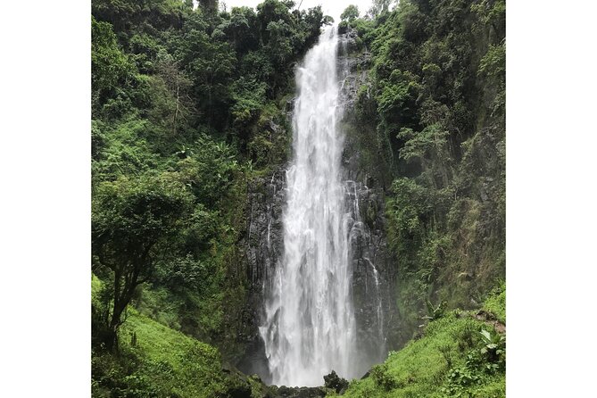 MATERUNI waterfalls, coffe tour & kikuletwa hotsprings - What the private format changes