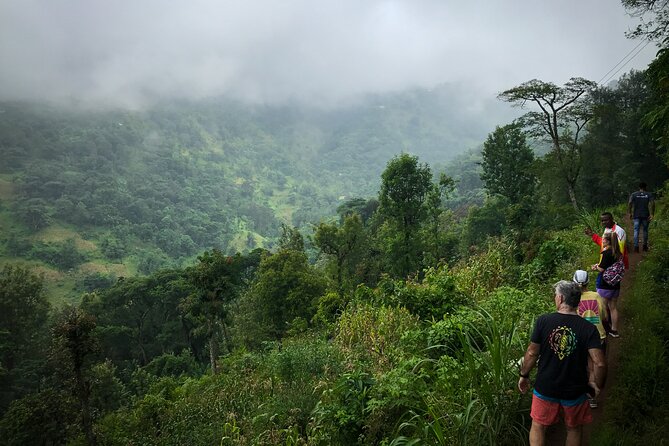 MATERUNI waterfalls, coffe tour & kikuletwa hotsprings - Practical advice for a smoother day