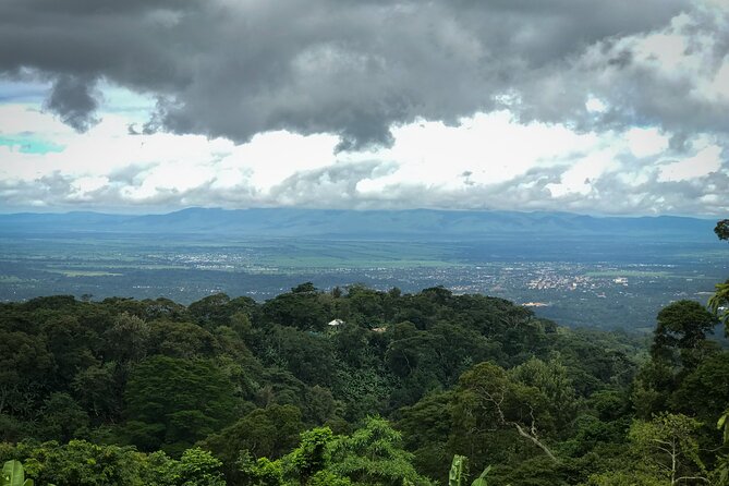 MATERUNI waterfalls, coffe tour & kikuletwa hotsprings - Should you book the Materuni and Kikuletwa combination?