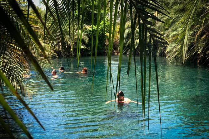 MATERUNI waterfalls, coffe tour & kikuletwa hotsprings - Kikuletwa Hot Springs and the Garra Rufa fish