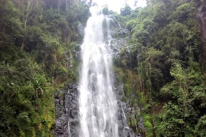 Materuni Waterfalls & Coffee making Cultural Tour | BURIGI CHATO SAFARIS LTD - Starting in Materuni at 1,800 meters