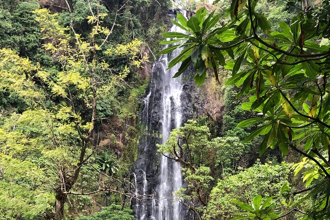 Materuni waterfalls coffee tour & Chemka hot springs Day trip - The rough ride to Chemka Hot Springs