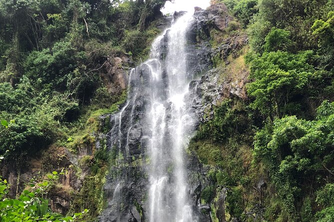 Materuni waterfalls coffee tour & Chemka hot springs Day trip - Private travel and pickup from Arusha