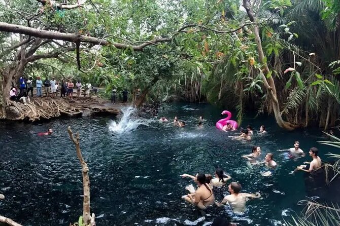 Materuni waterfalls coffee tour & Chemka hot springs Day trip - What to bring and how to prepare