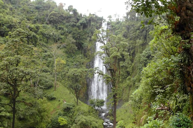 Materuni Waterfalls & Coffee Tour from Moshi - What the $60 price includes in practical terms