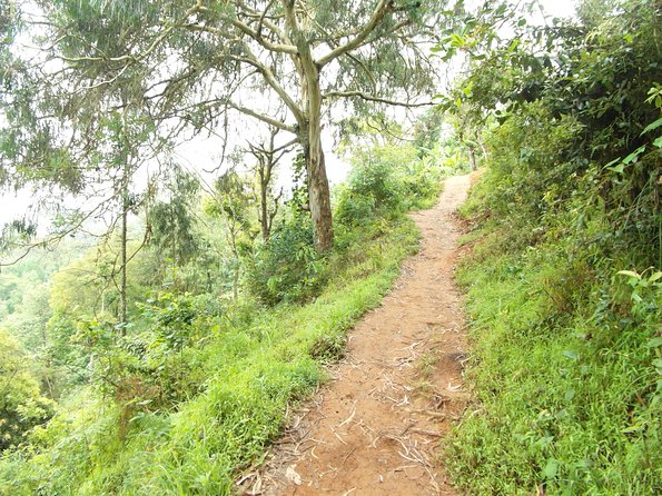 Materuni Waterfalls & Coffee Tour from Moshi - The private format and guide experience