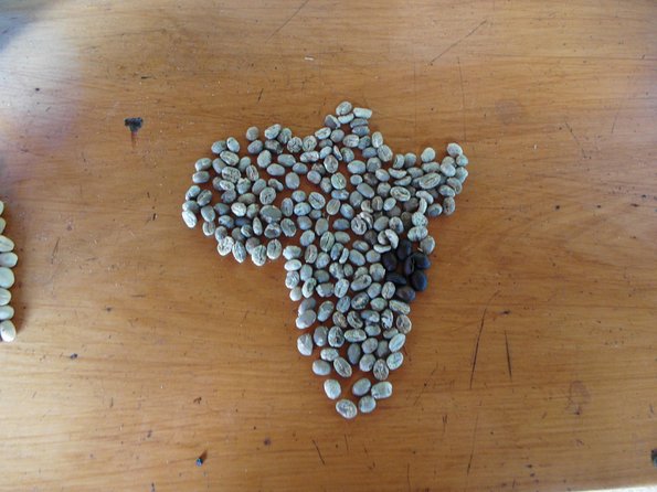 Materuni Waterfalls & Coffee Tour from Moshi - Who will enjoy this experience most