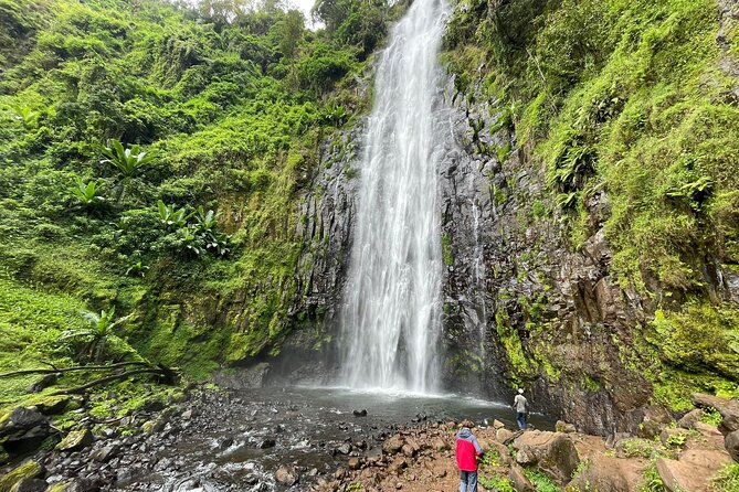 Materuni waterfalls,coffee tour & Kikuletwa(Chemka)Hot Springs - Why this Arusha day trip works