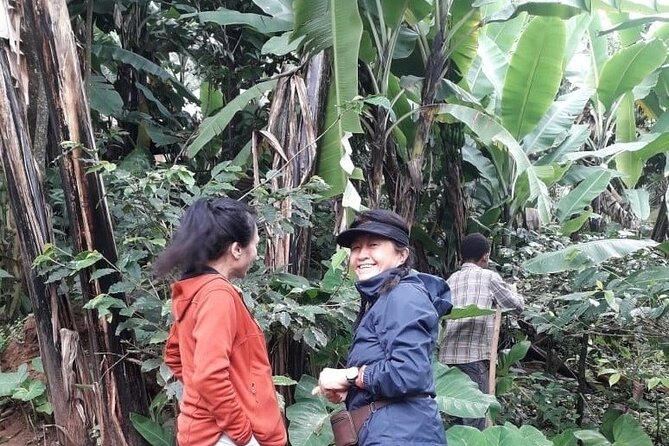 Materuni waterfalls,coffee tour & Kikuletwa(Chemka)Hot Springs - Is the $100 price good value?