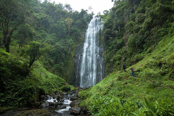 Materuni Waterfalls, coffee tour & Kikuletwa Hot Springs - A full day from Arusha to the foothills of Kilimanjaro