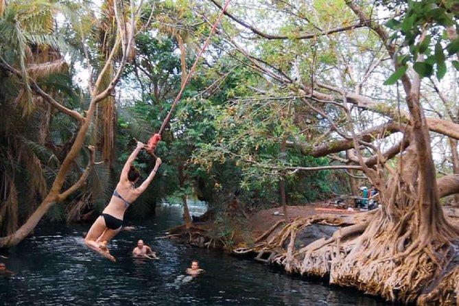 Materuni Waterfalls, coffee tour & Kikuletwa Hot Springs - Should you book Materuni and Kikuletwa?