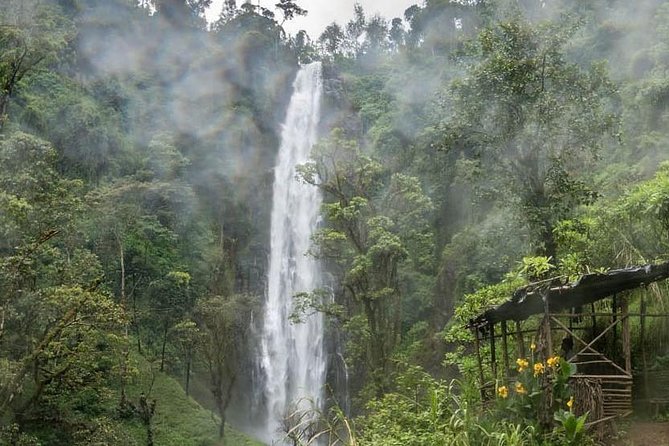 Materuni Waterfalls, coffee tour & Kikuletwa Hot Springs - FAQ