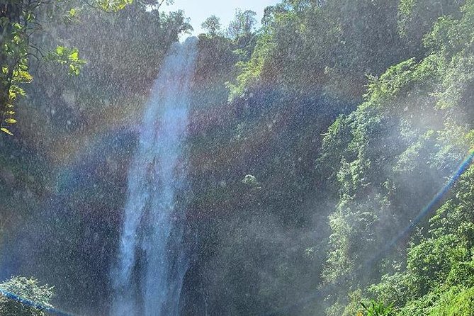 Materuni Waterfalls, Visiting Chagga Village, CoffeeTour Kikuletwa Hotsprings - Ending at Kikuletwa Hotsprings