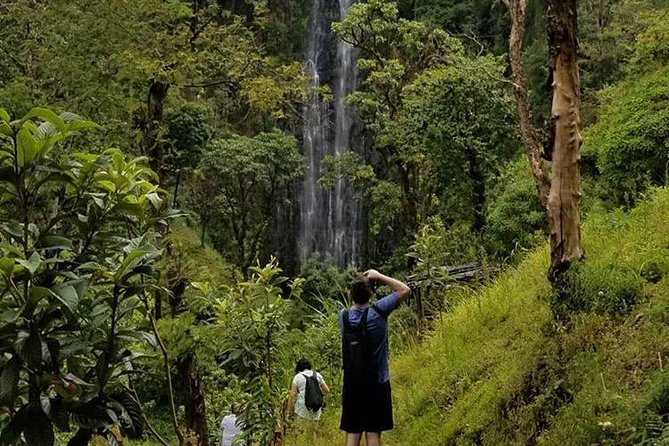 Materuni Waterfalls, Visiting Chagga Village, CoffeeTour Kikuletwa Hotsprings - What the $100 price includes
