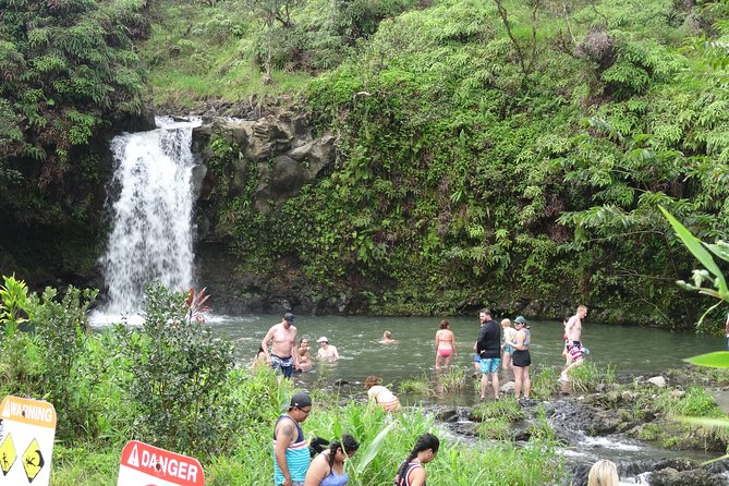 Maui: Famous Road to Hana Waterfalls and Lunch by Mercedes Van - Twin Falls and smaller waterfall stops