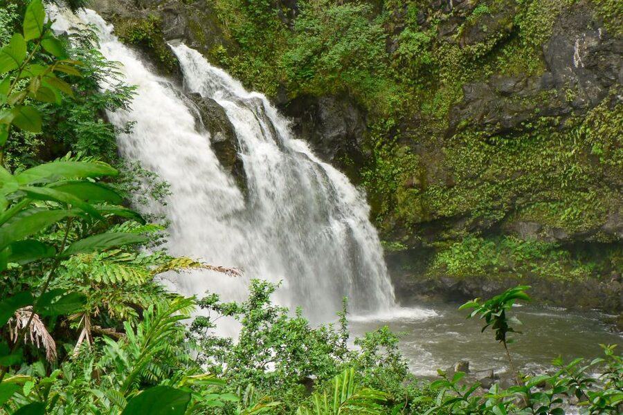 Maui: Guided Rainforest and Waterfall Walk & Swim - Key points at a glance