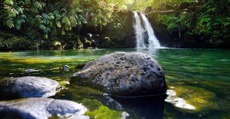 Maui: Guided Rainforest and Waterfall Walk & Swim - What the three-hour Maui rainforest tour is really like