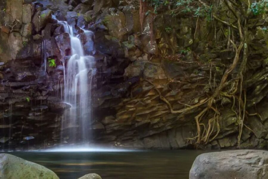 Maui: Guided Rainforest and Waterfall Walk & Swim - What is included, and what you still need