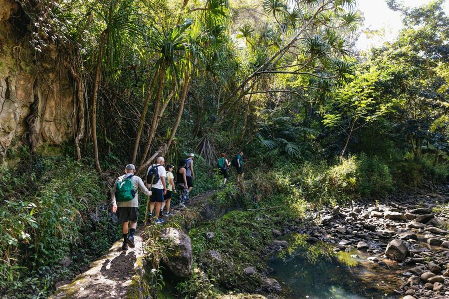 Maui: Rainforest Waterfalls Guided Hike with Picnic Lunch - Practical details that make the day better
